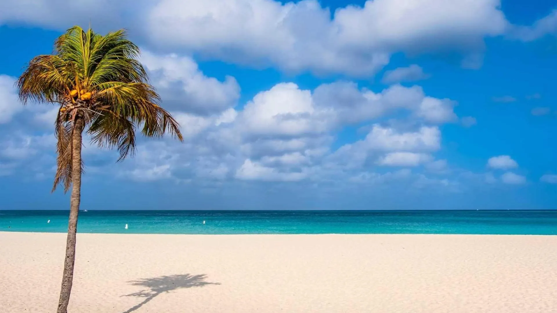 Beachfront - Tropical Penthouse 1Br Condo - Bg532 Palm Beach Aruba